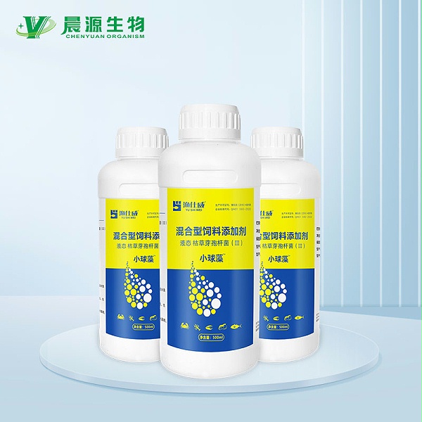 小球藻