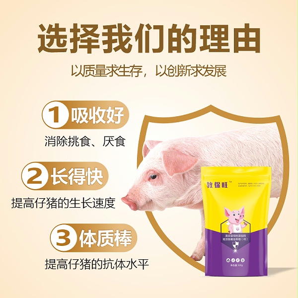 仔猪教槽诱料-教保旺