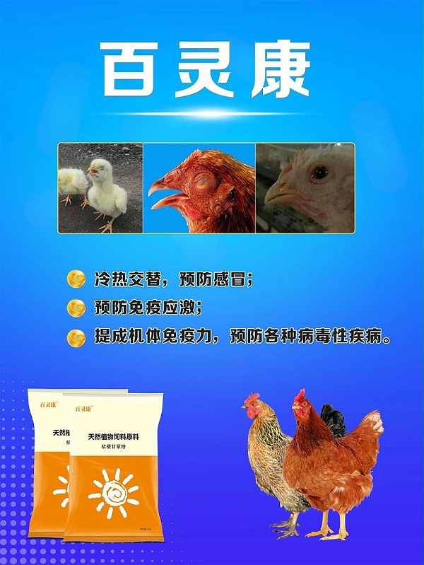 鸡感冒吃什么药好得快？