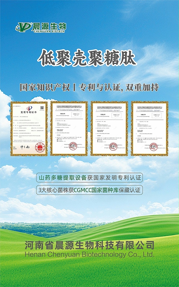 微信图片_20260519164153_22_35(1)