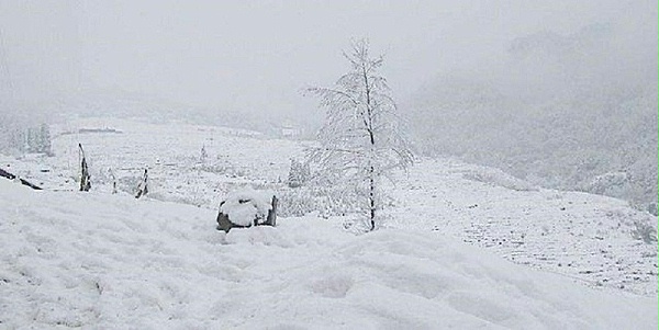 大雪天气，养殖户该储备饲料添加剂啦