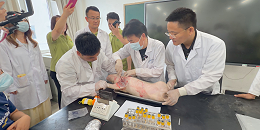 39 日龄仔猪对照解剖试验完成！【低聚壳聚糖肽】养殖实证数据全面出炉