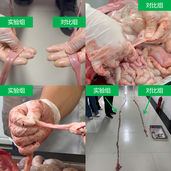 微信图片_20260727143150_347_31