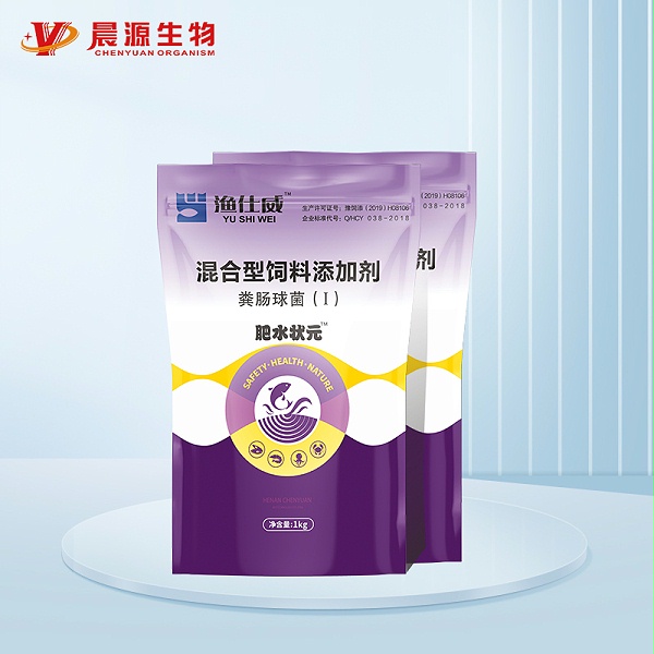 肥水状元