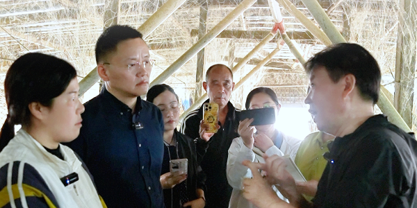 对比试验验证价值｜晨源生物白羽肉鸭
