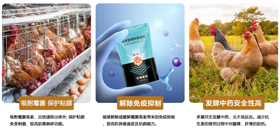 梅消的功效