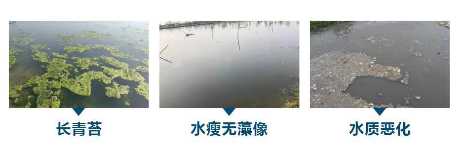 水产养殖中常见的水质问题