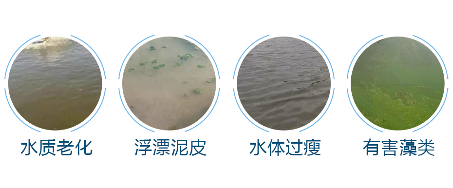 水产养殖中的常见问题