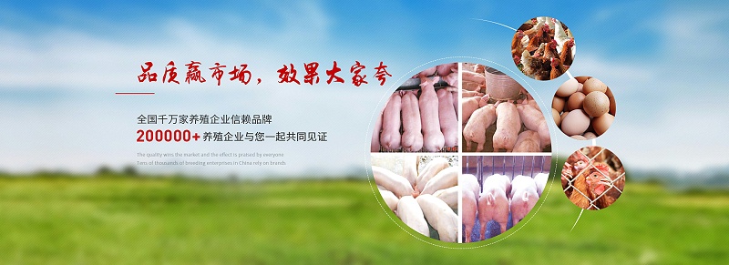 河南猪饲料添加剂生产厂家