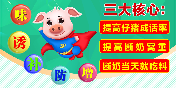 如何让仔猪出栏快又壮！