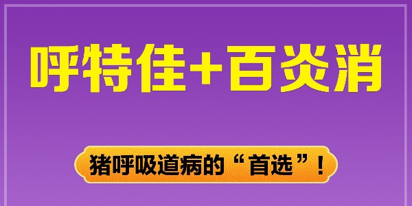 秋季猪呼吸道疾病防控治疗方案-晨源生物