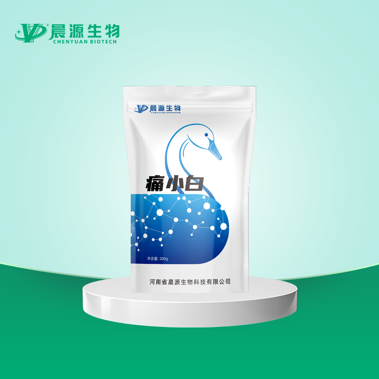 痛小白