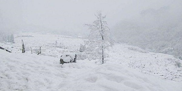 今天中央气象台发布暴雪黄色预警，晨源生物喊你储备饲料添加剂啦！