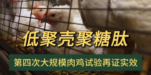 晨源生物“低聚壳聚糖肽”第四次大规模试验再证实效