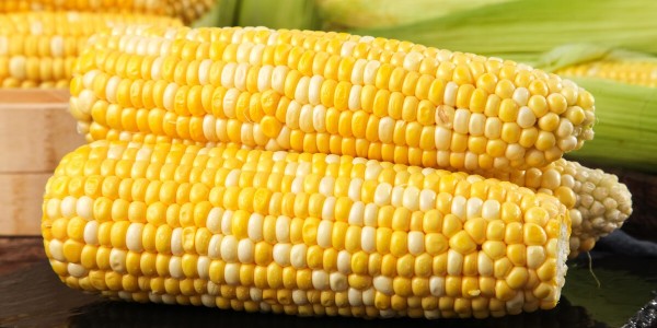 晨源生物——中国计划今年将玉米播种面积提高66.7万公顷